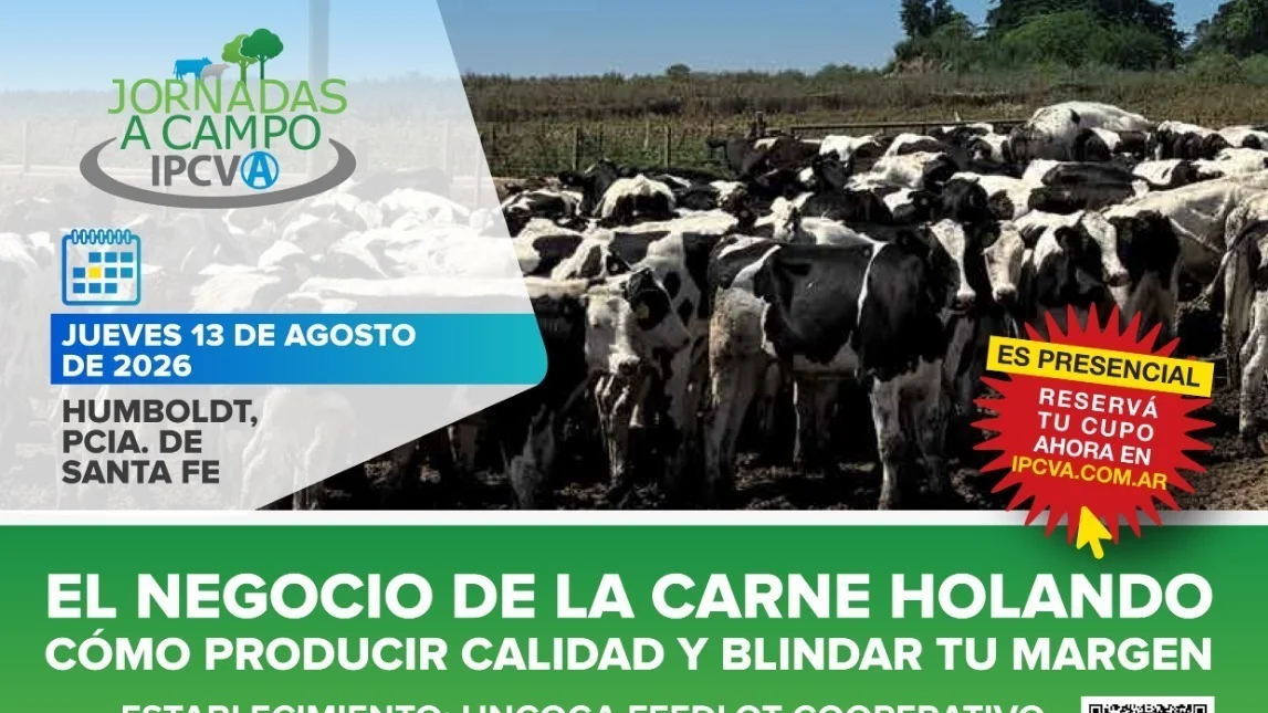UNCOGA será sede de una jornada sobre producción y rentabilidad de la carne Holando