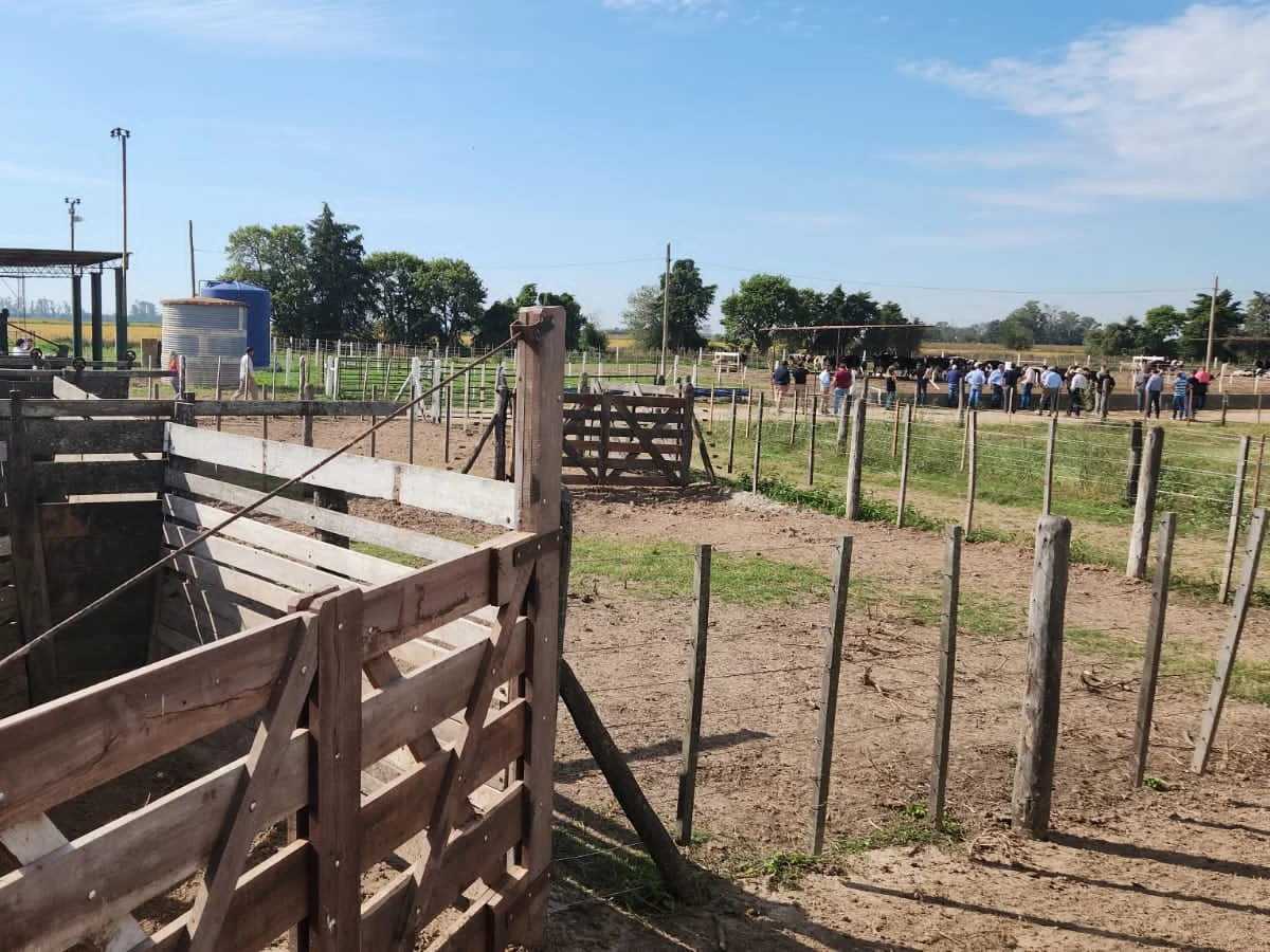 Trabajá en Uncoga
